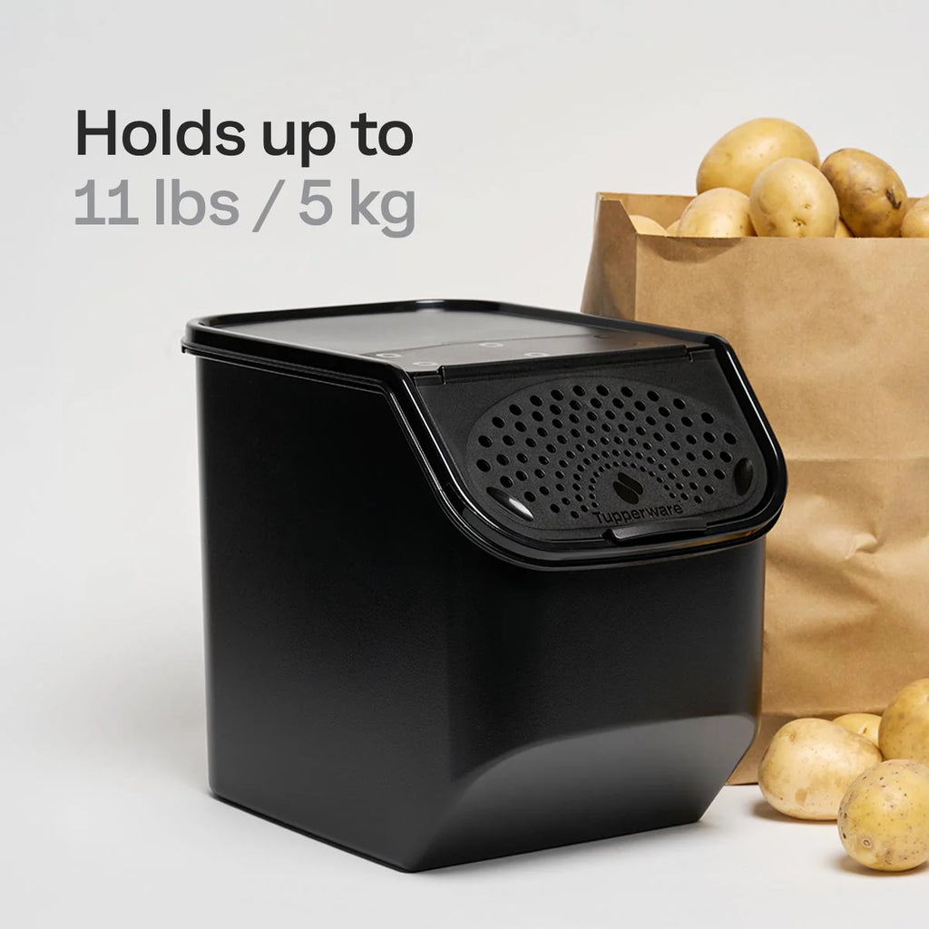 Smart® Container Set
